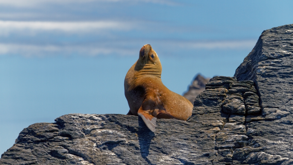 03 - La Serena (15).jpg